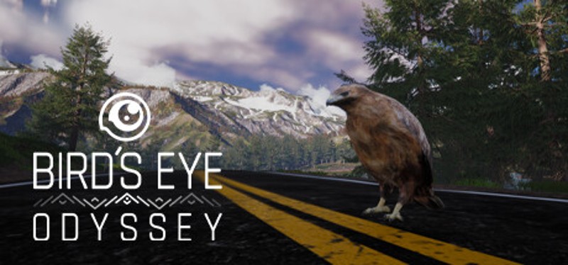 Bird's Eye Odyssey Image