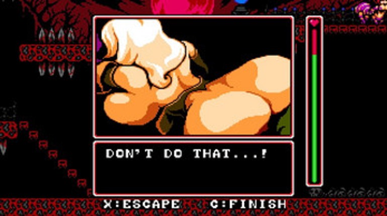 Castle in The Clouds DX Image