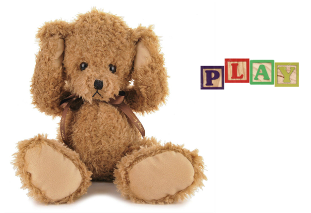 Torrenting Teddy Image