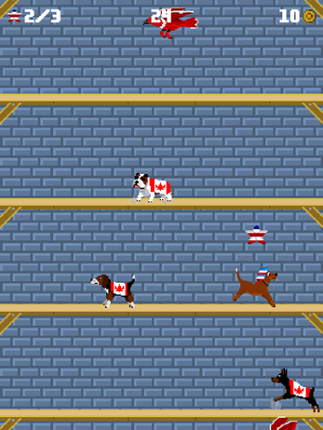 Washington's Wall screenshot