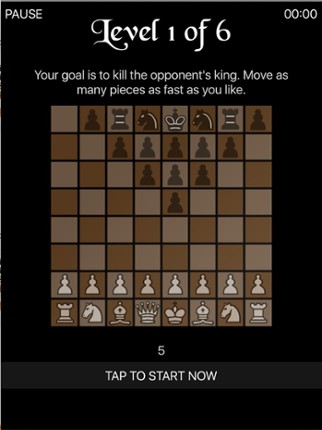 Kill the King: Realtime Chess Image