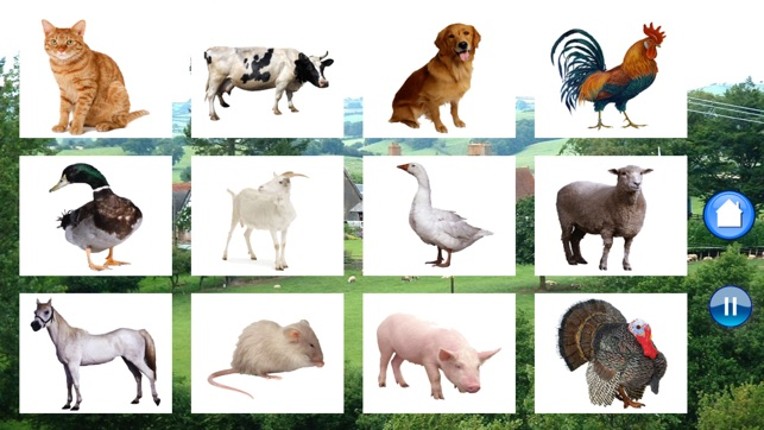 Sounds of Farm Animals screenshot