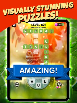 Word Search Pets Image