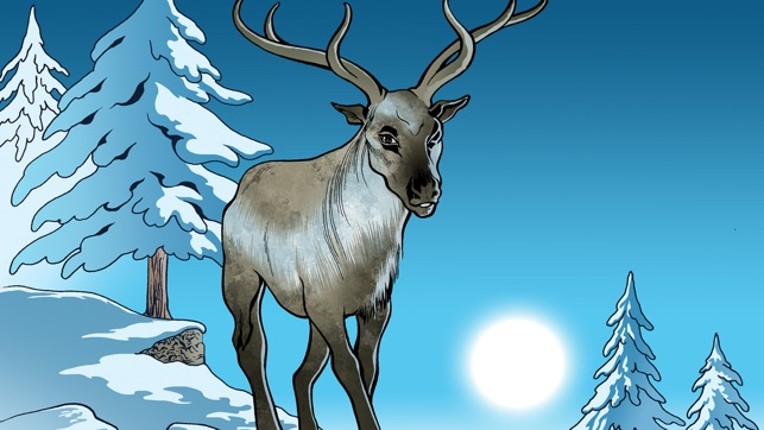 Animal Puzzle Jigsaw Image