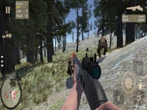 Bear Forest Hunting Patrol Image