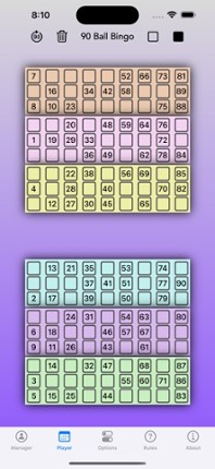 Bingo Manager 90 screenshot