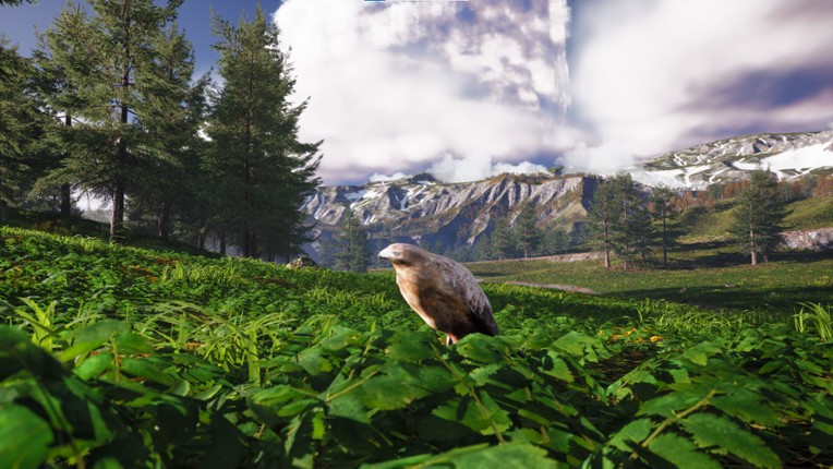 Bird's Eye Odyssey screenshot