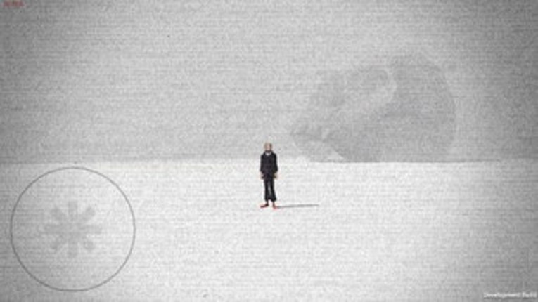A Birdman Emulator Image
