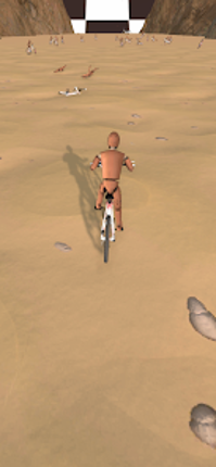 Bicycle Race screenshot