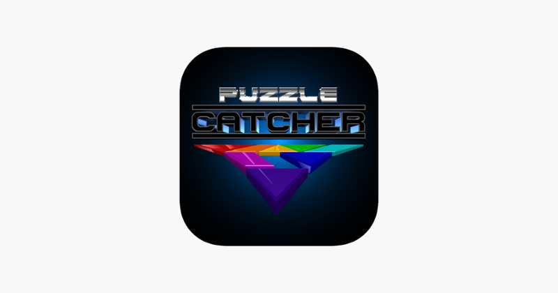 Puzzle Catcher Image