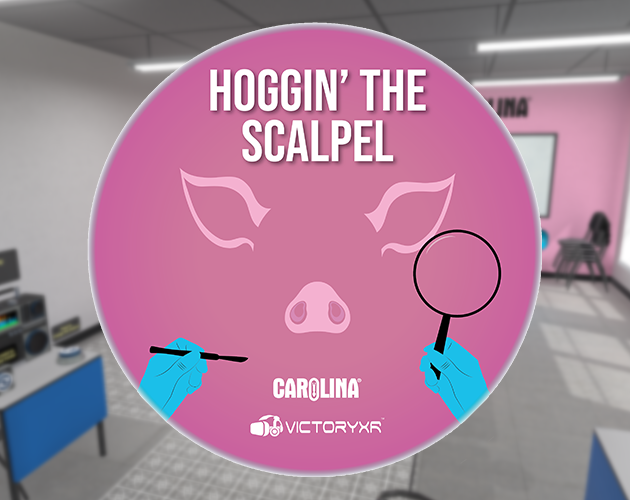 Games like Dissection Simulator: Pig Edition