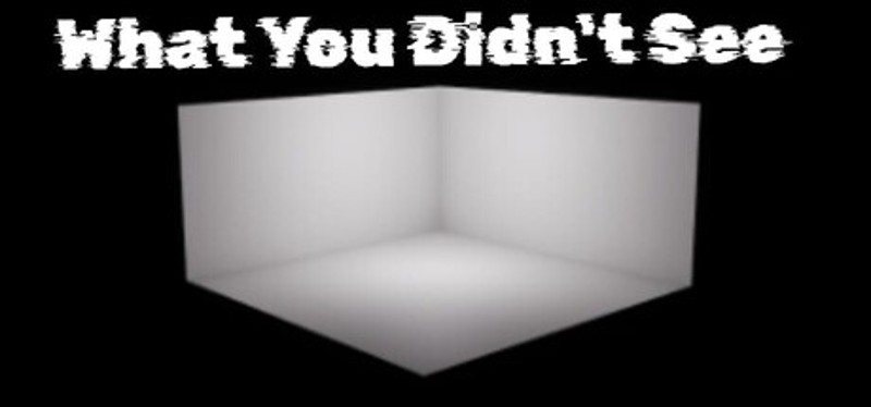 What You Didn't See Image