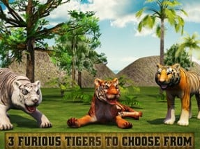 Angry Tiger Revenge 2016 Image