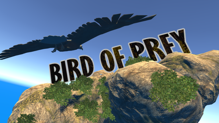 Bird of Prey Image