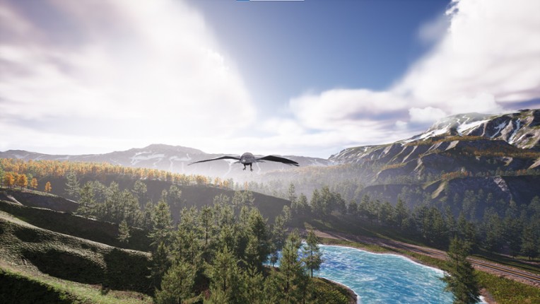 Bird's Eye Odyssey screenshot