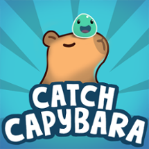 Catch Capybara Image