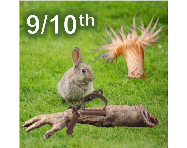 Games like Nine-tenths of the Law