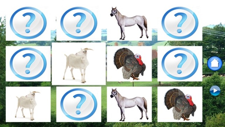 Sounds of Farm Animals screenshot