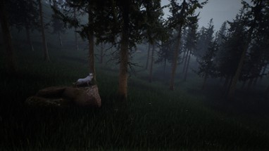 Survivalizm - The Animal Simulator Image