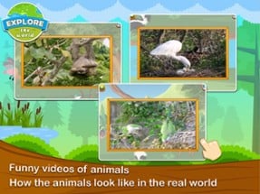 Toddler Preschool Animal Game Image