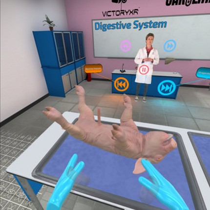 VR Pig Dissection: Hoggin' the Scalpel Image