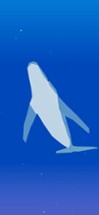 Whale World Image