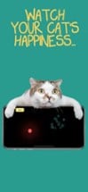 Cat laser pointer  - Pet fun Image