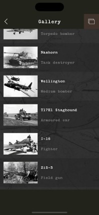 Guess the World War II Weapon screenshot