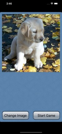 PictureFlip screenshot