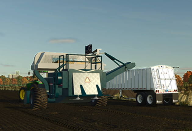 pinto bean combine edit Image