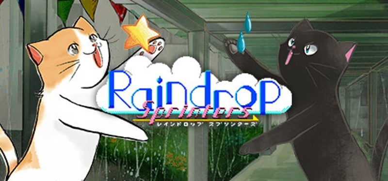 Raindrop Sprinters Image