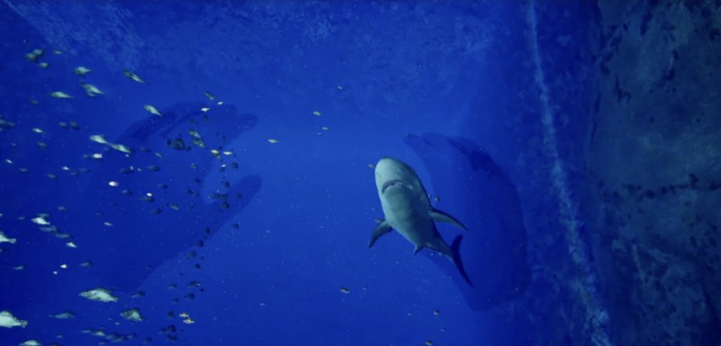 Aquarium at August 32nd VR screenshot