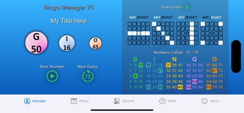 Bingo Manager 75 screenshot