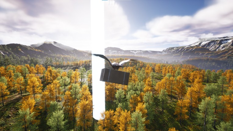 Bird's Eye Odyssey screenshot