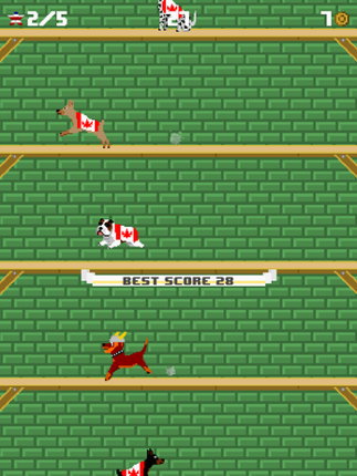 Washington's Wall screenshot