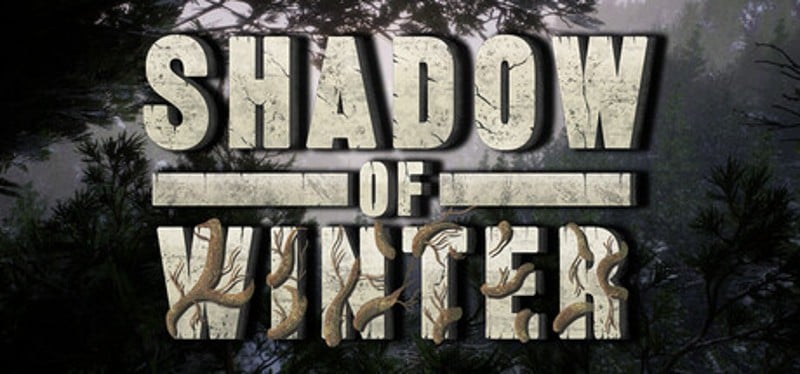 Shadow Of Winter Image