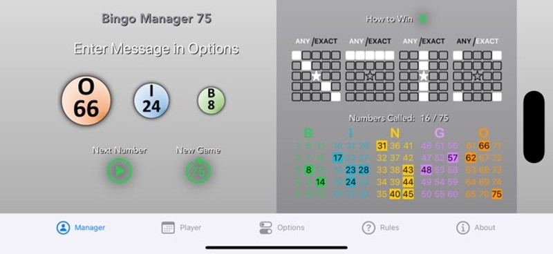 Bingo Manager 75 screenshot