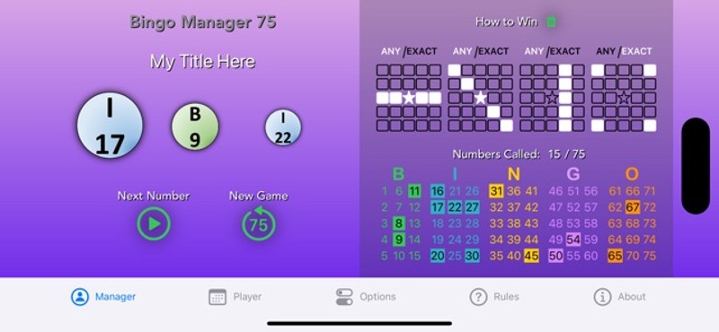 Bingo Manager 75 screenshot