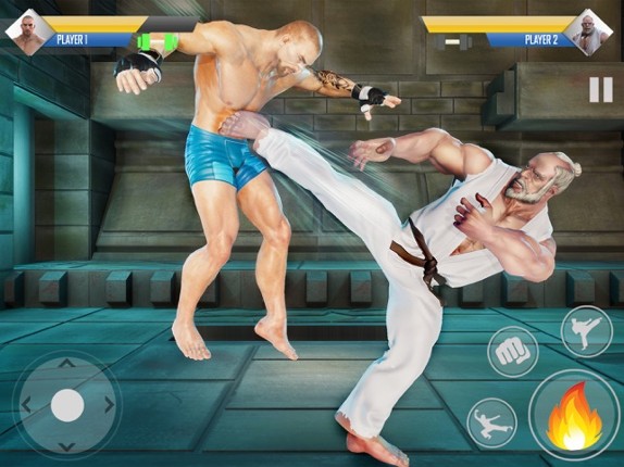 Combat Karate Wrestling Fight Image