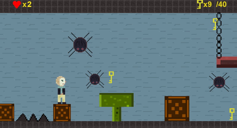 Spider Cave Game Cover