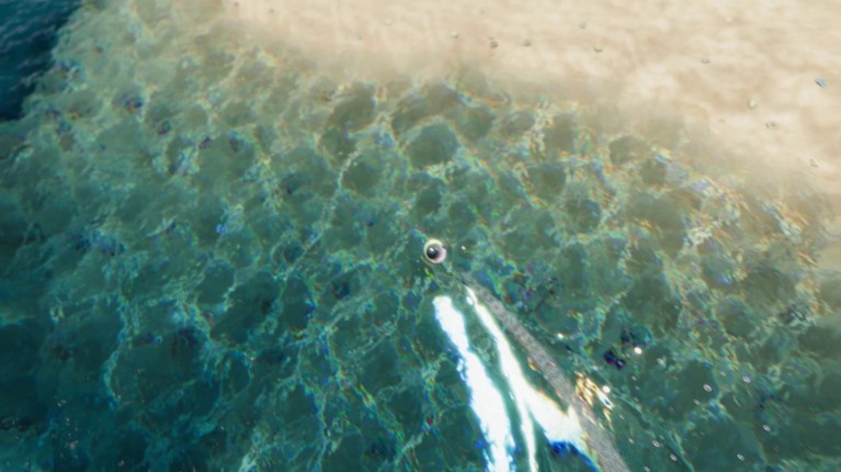The Ball Flow - Nature and Light screenshot