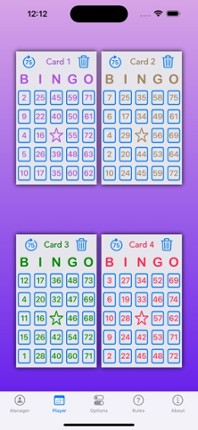Bingo Manager 75 Image