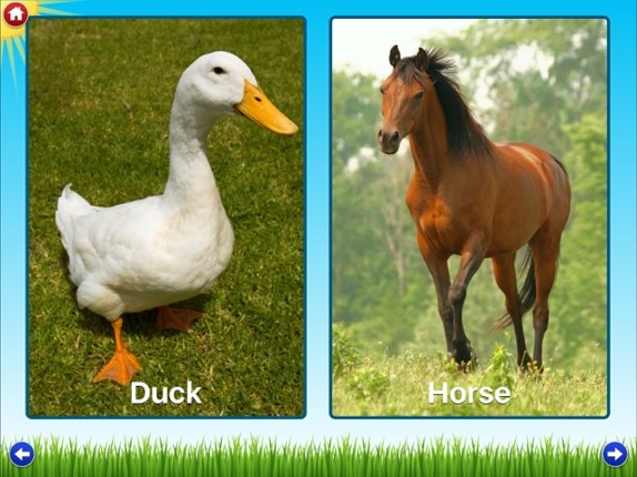 Farm Sounds Lite - Fun Animal Noises for Kids Image