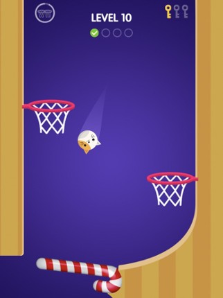 Flipper Dunk Image