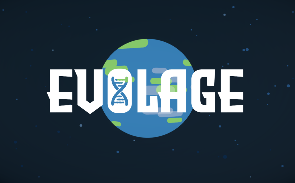 Games like EVOLAGE
