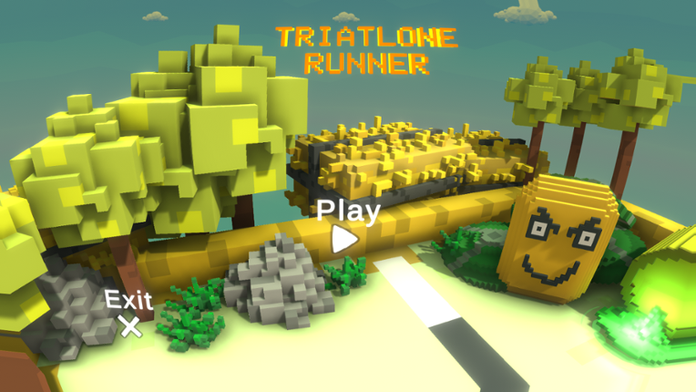 Triatlone runner Image