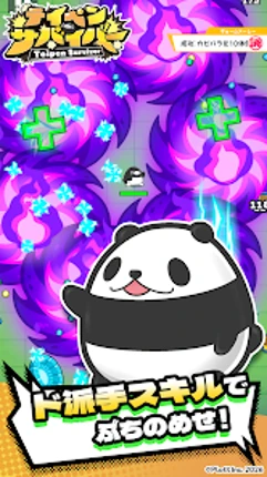 テイペンサバイバー Image