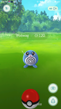 Pokémon Go Image