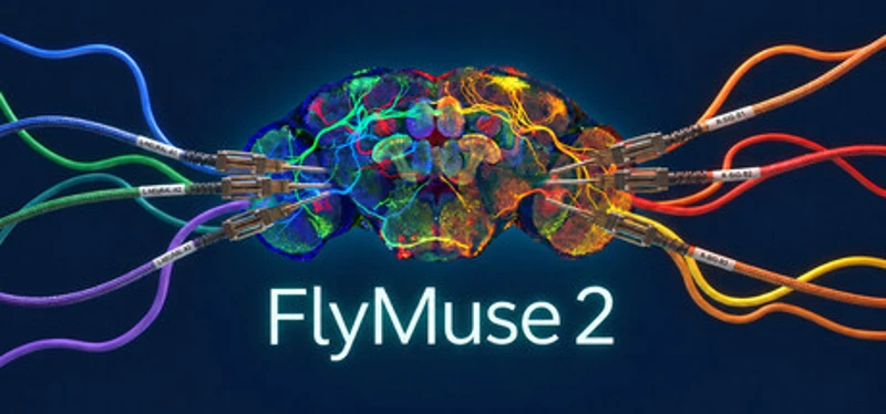 FlyMuse  2 Image