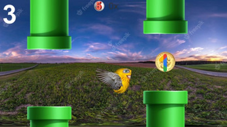 Birdler Image
